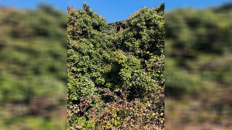 Ma-Cabane - Vente Maison Thairé, 150 m²