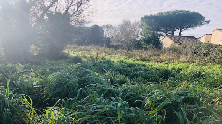 Ma-Cabane - Vente Maison Thairé, 150 m²