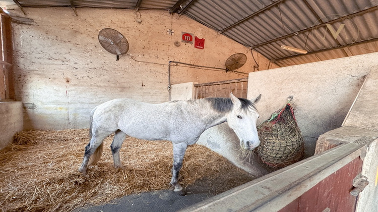 Ma-Cabane - Vente Maison THEZAC, 485 m²