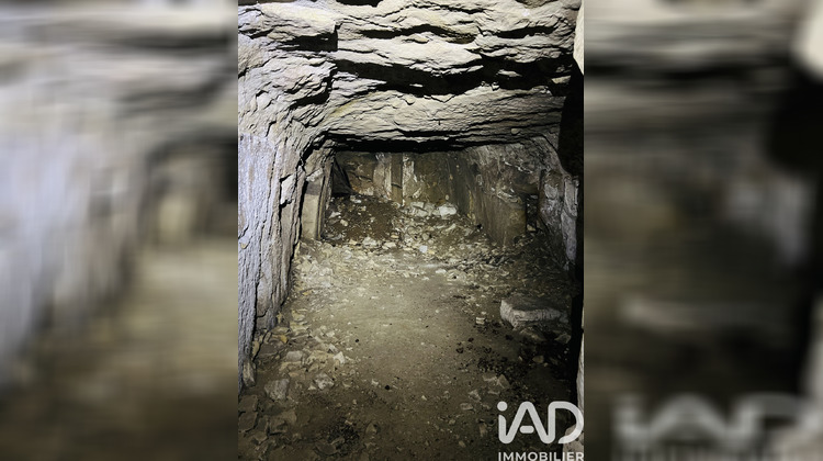 Ma-Cabane - Vente Maison Thizay, 48 m²