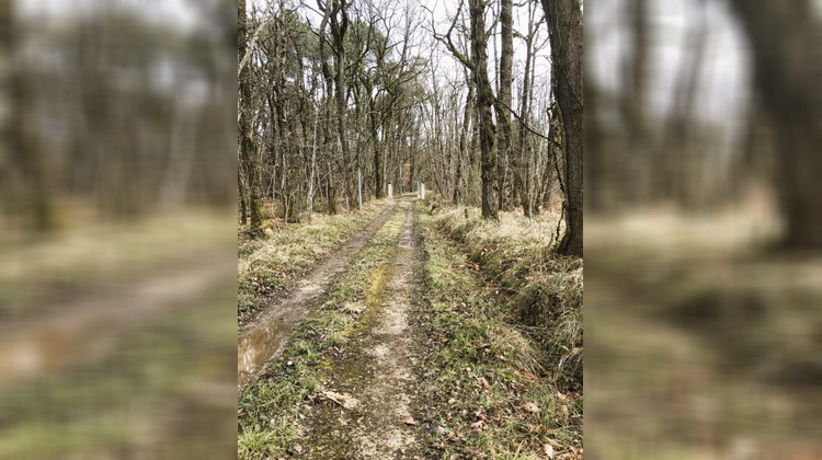 Ma-Cabane - Vente Maison TOCANE SAINT APRE, 175 m²