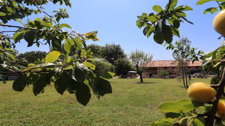 Ma-Cabane - Vente Maison Tonneins, 274 m²