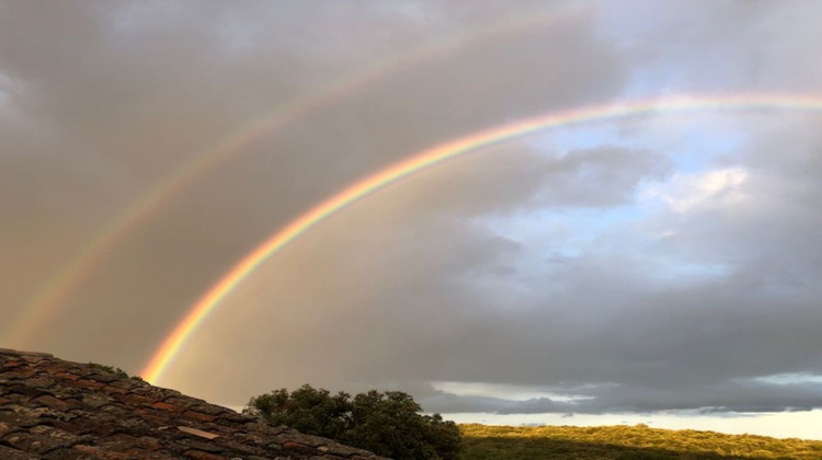 Ma-Cabane - Vente Maison TORNAC, 750 m²