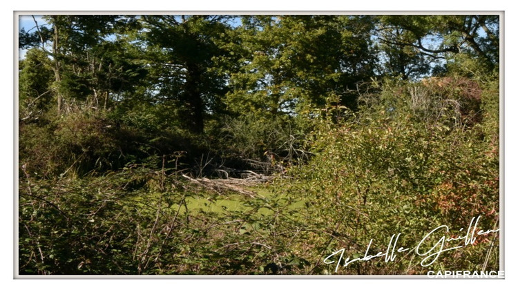 Ma-Cabane - Vente Maison TOUCHAY, 170 m²