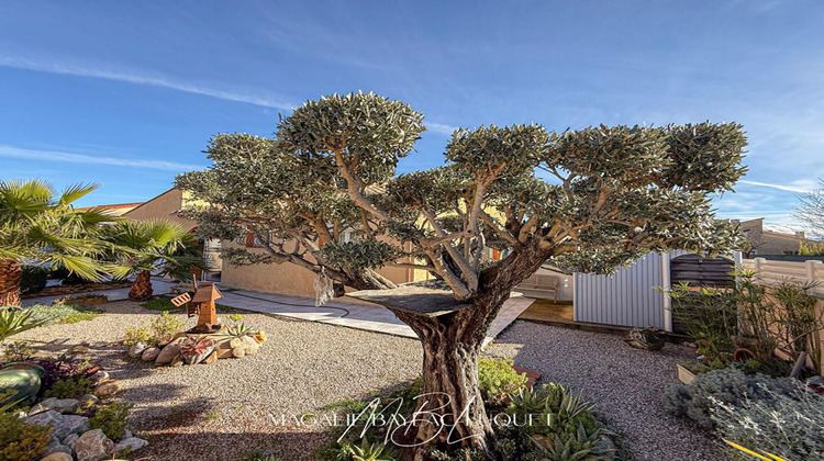 Ma-Cabane - Vente Maison TOULOUGES, 135 m²