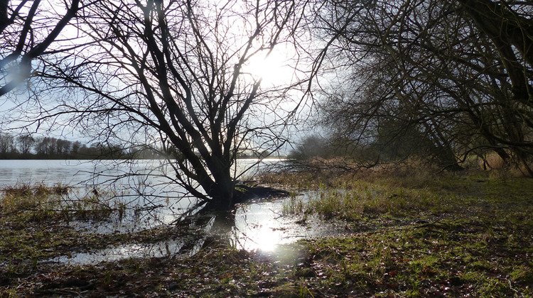 Ma-Cabane - Vente Maison TREBEDAN, 41 m²