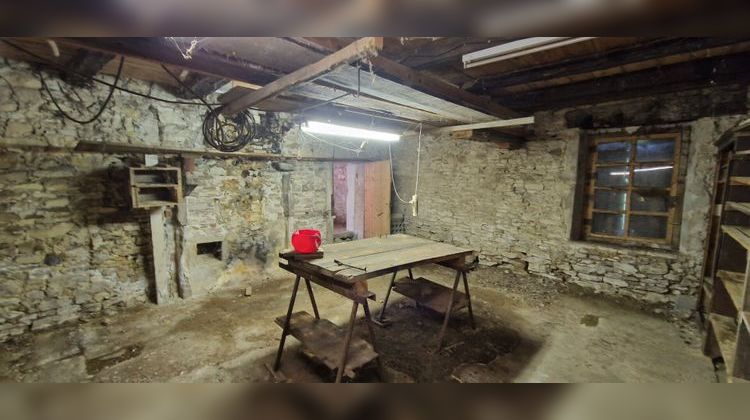 Ma-Cabane - Vente Maison TREPT, 370 m²