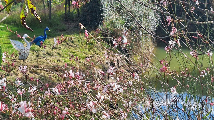 Ma-Cabane - Vente Maison Trie-sur-Baïse, 110 m²