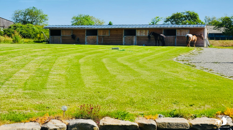 Ma-Cabane - Vente Maison Troisvilles, 300 m²