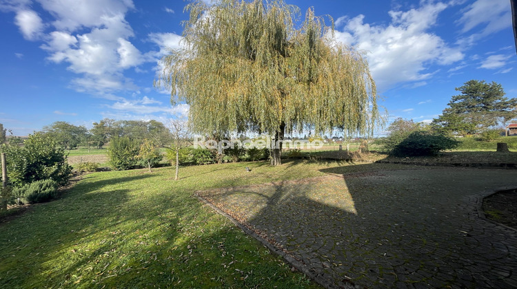 Ma-Cabane - Vente Maison Truchtersheim, 212 m²