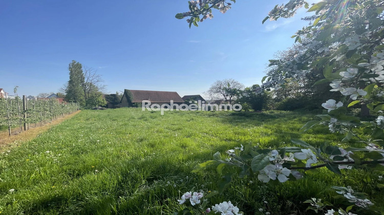 Ma-Cabane - Vente Maison Truchtersheim, 215 m²