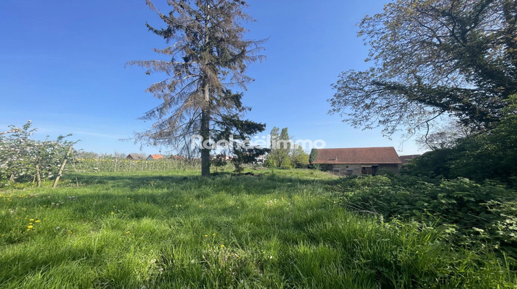 Ma-Cabane - Vente Maison Truchtersheim, 215 m²
