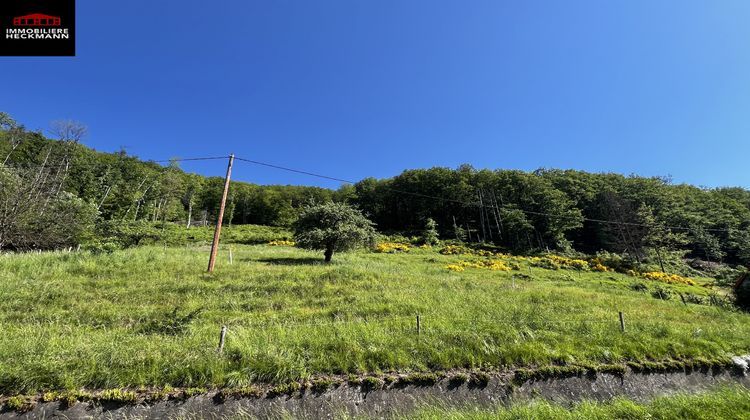 Ma-Cabane - Vente Maison Urbeis, 167 m²