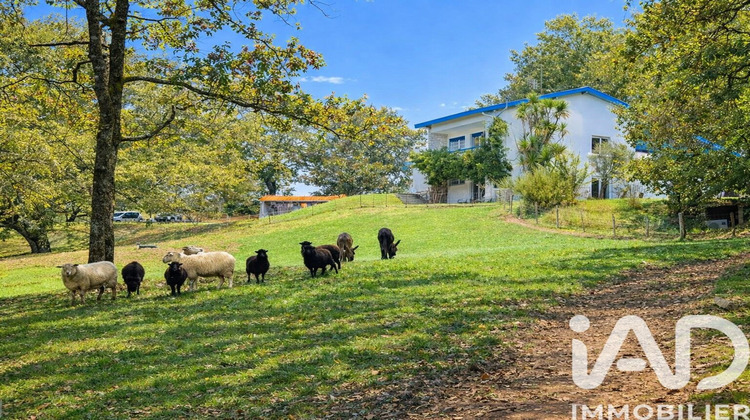 Ma-Cabane - Vente Maison Urcuit, 290 m²