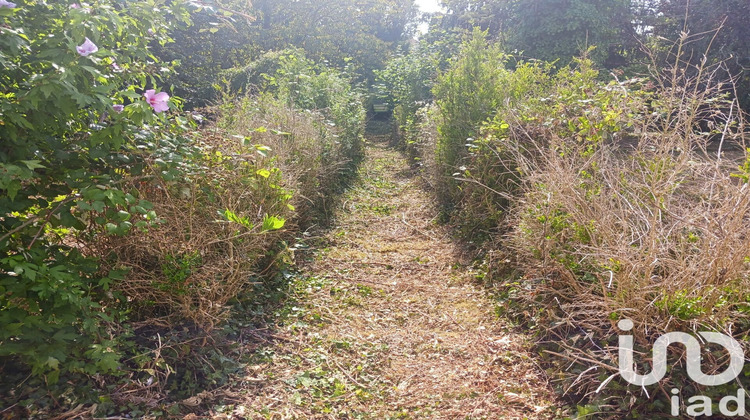Ma-Cabane - Vente Maison Usson-du-Poitou, 110 m²