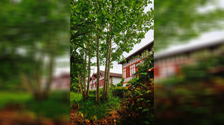Ma-Cabane - Vente Maison USTARITZ, 330 m²