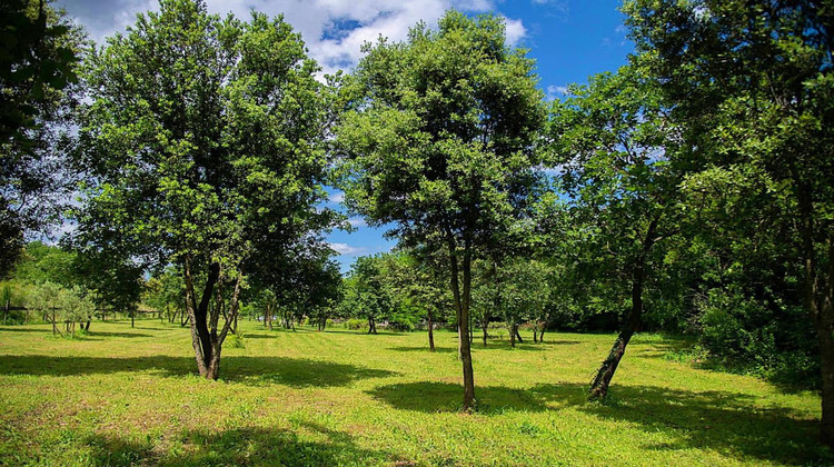 Ma-Cabane - Vente Maison UZES, 571 m²