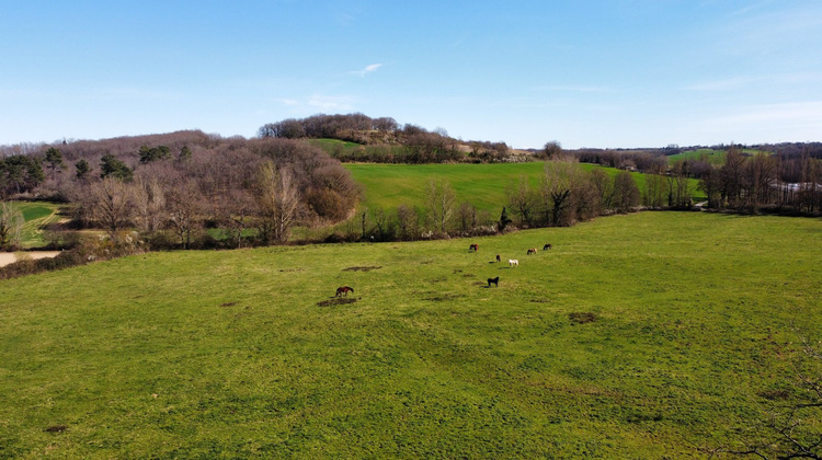Ma-Cabane - Vente Maison Vacquiers, 340 m²