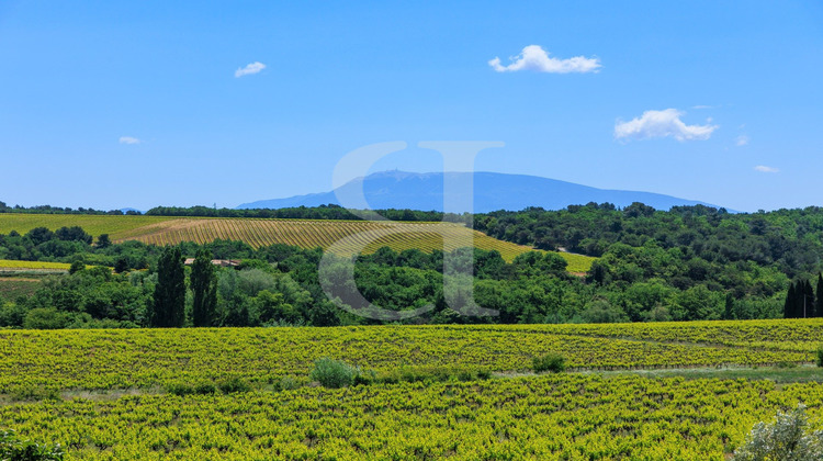 Ma-Cabane - Vente Maison Vaison-la-Romaine, 582 m²