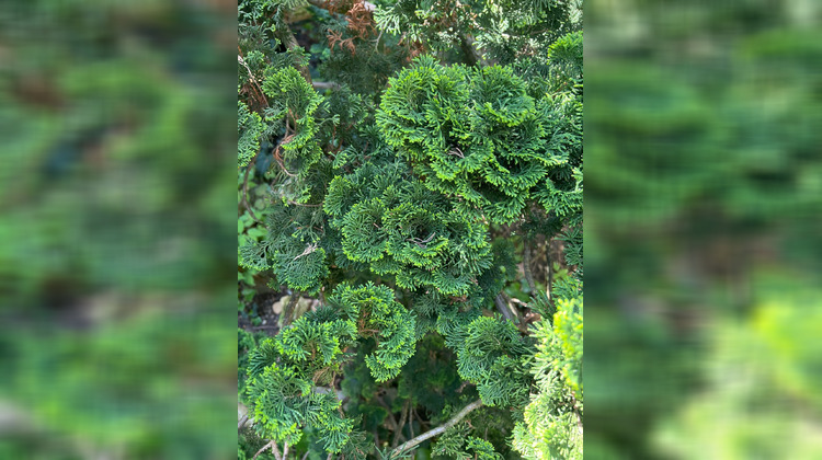 Ma-Cabane - Vente Maison Valence, 232 m²