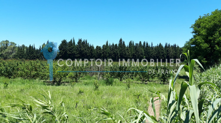 Ma-Cabane - Vente Maison Vallabrègues, 250 m²