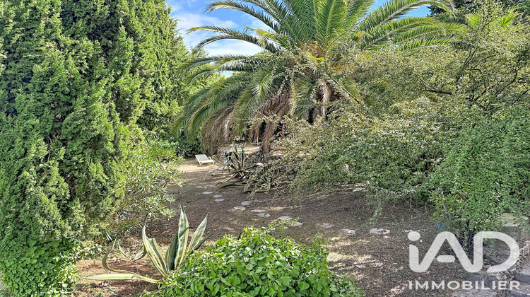 Ma-Cabane - Vente Maison Vallauris, 180 m²