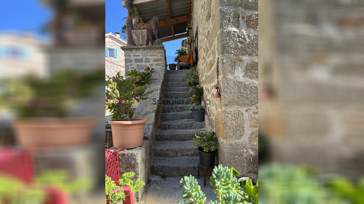 Ma-Cabane - Vente Maison Valle-di-Mezzana, 99 m²