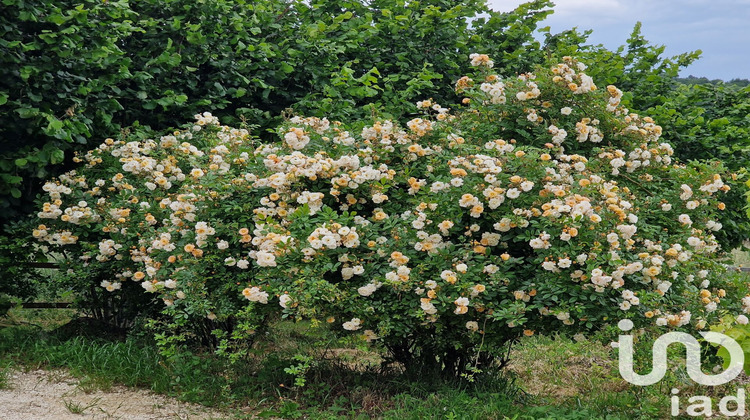 Ma-Cabane - Vente Maison Varaignes, 90 m²