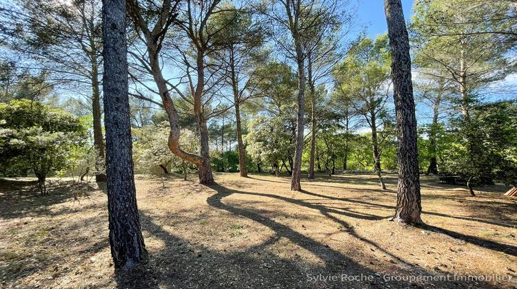 Ma-Cabane - Vente Maison Velleron, 43 m²