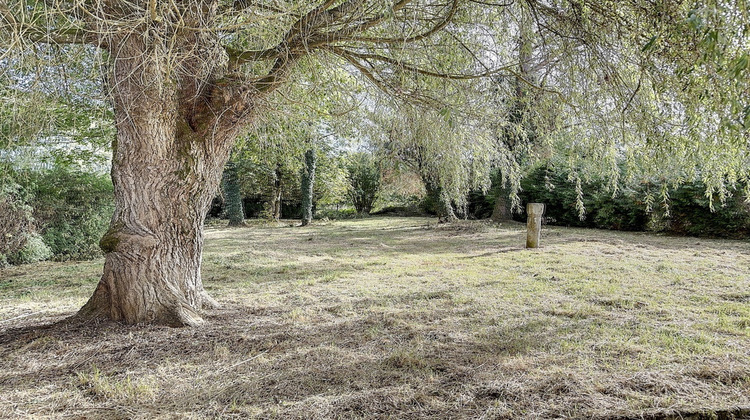 Ma-Cabane - Vente Maison Velorcey, 145 m²