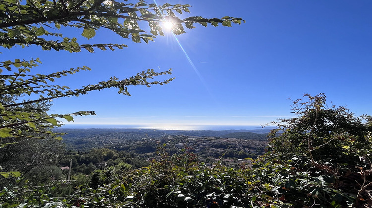 Ma-Cabane - Vente Maison VENCE, 514 m²