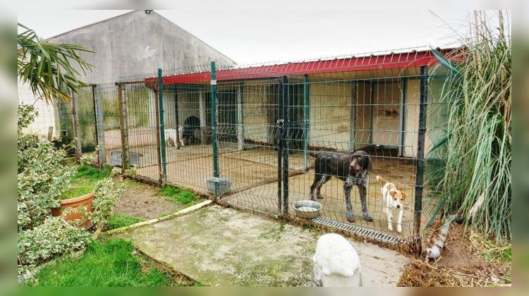 Ma-Cabane - Vente Maison Vendôme, 148 m²