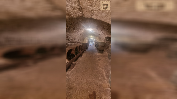 Ma-Cabane - Vente Maison Vendôme, 973 m²