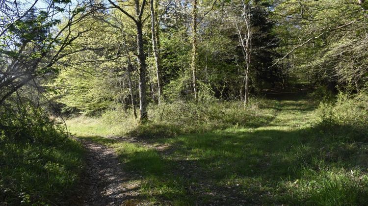 Ma-Cabane - Vente Maison VENTENAC, 570 m²