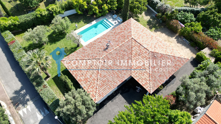 Ma-Cabane - Vente Maison Ventiseri, 175 m²