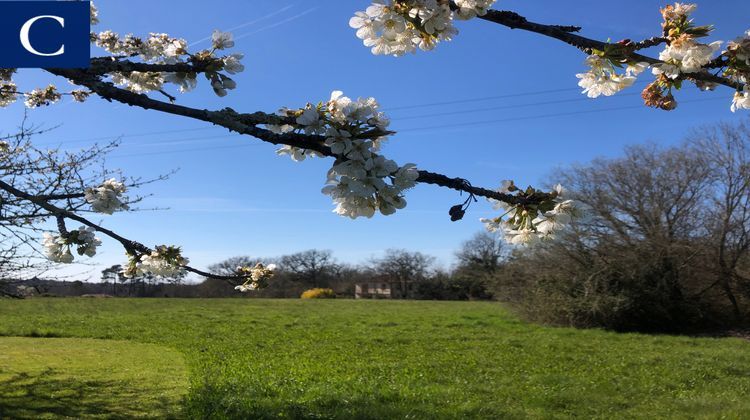 Ma-Cabane - Vente Maison Vergt, 125 m²