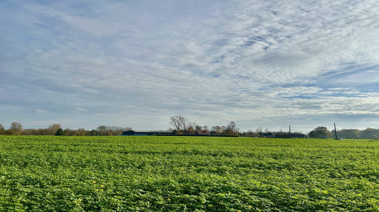 Ma-Cabane - Vente Maison Verlinghem, 171 m²