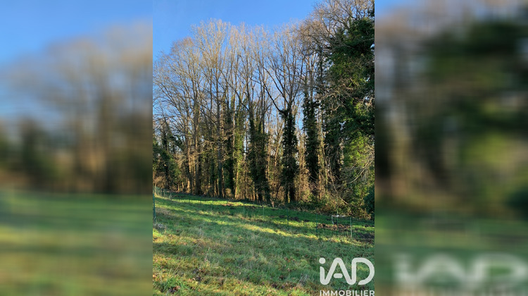 Ma-Cabane - Vente Maison Vernou-la-Celle-sur-Seine, 204 m²