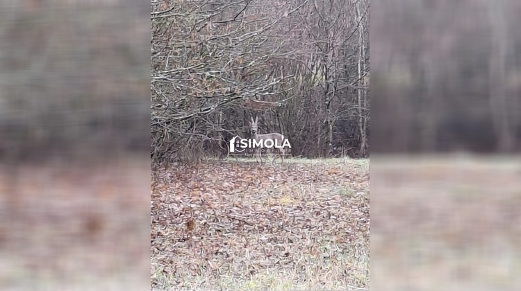 Ma-Cabane - Vente Maison Vernou-la-Celle-sur-Seine, 267 m²