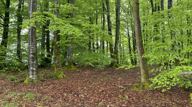 Ma-Cabane - Vente Maison Viam, 98 m²