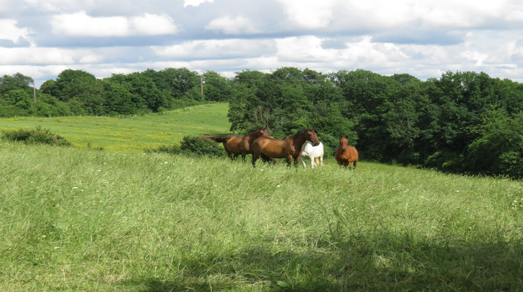 Ma-Cabane - Vente Maison Vic-Fezensac, 246 m²