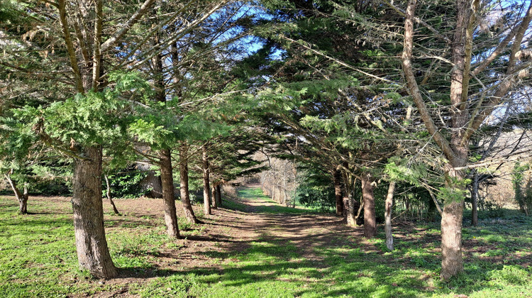 Ma-Cabane - Vente Maison Vic-Fezensac, 390 m²