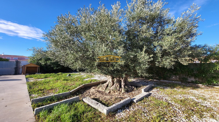 Ma-Cabane - Vente Maison Vic-la-Gardiole, 209 m²