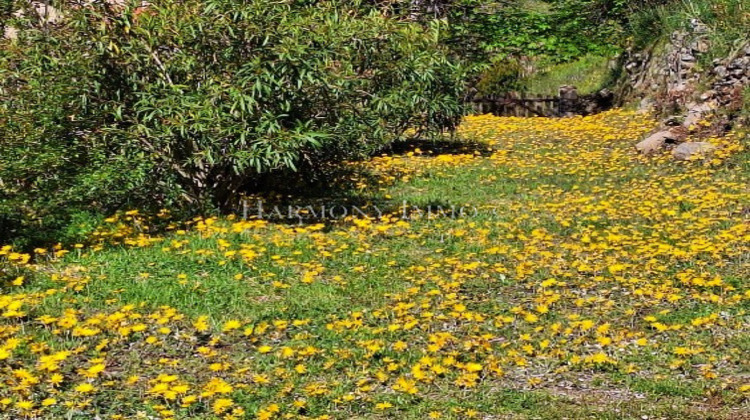 Ma-Cabane - Vente Maison Vico, 152 m²