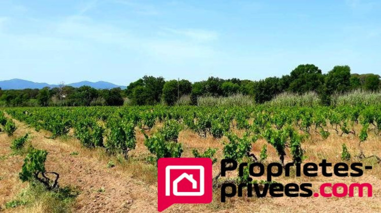 Ma-Cabane - Vente Maison VIDAUBAN, 226 m²