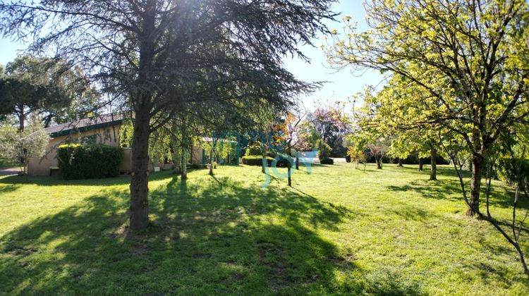 Ma-Cabane - Vente Maison Vieille-Toulouse, 316 m²