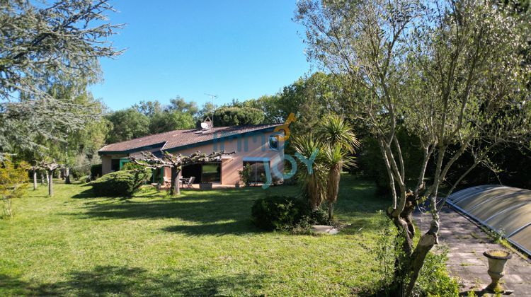 Ma-Cabane - Vente Maison Vieille-Toulouse, 316 m²