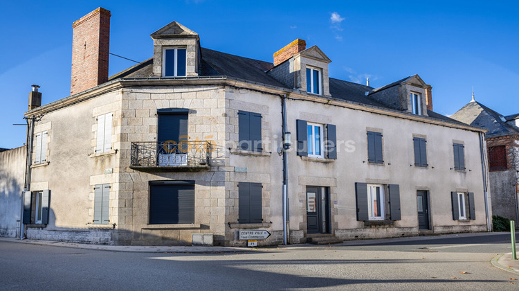 Ma-Cabane - Vente Maison VIEILLEVIGNE, 360 m²