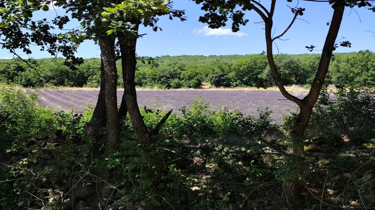 Ma-Cabane - Vente Maison Viens, 115 m²