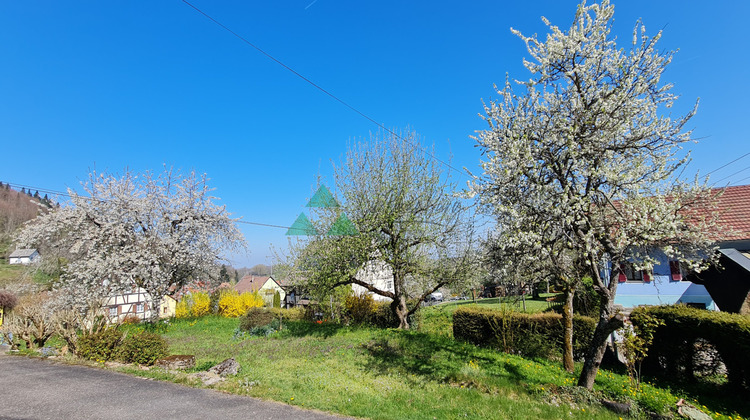 Ma-Cabane - Vente Maison Vieux-Ferrette, 175 m²